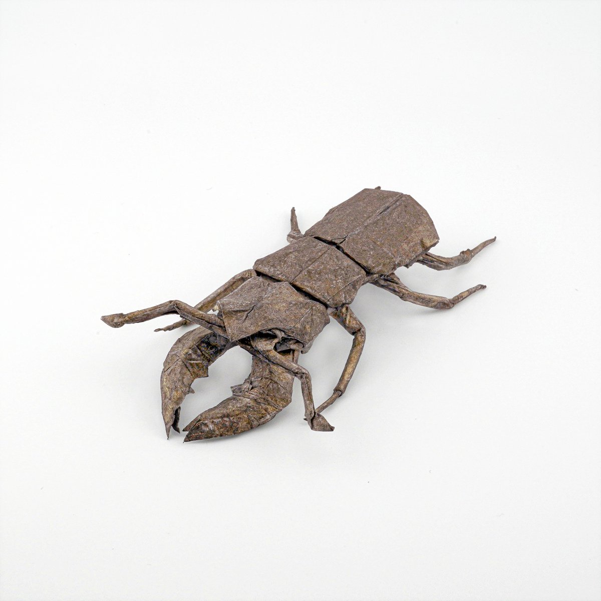 origamivann's tweet photo. Satoshi Kamiya - Lucanus maculifemoratus
Folded by me, from 40x40m kozo paper

#stagbeetle #origami #paperwork #Mondayart https://t.co/XOPkHCYptX