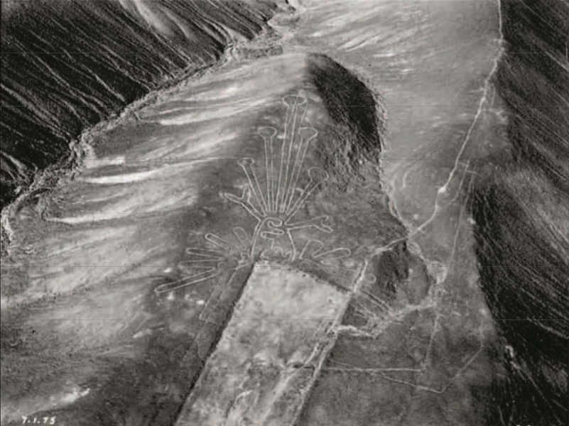 TAGACAT's tweet photo. El Ave Kosok fue la primera figura Nasca que #MariaReiche y #PaulKosok descubrieron en 1941 (Maria luego continuaría sola en Nasca).
Ubicada en Palpa es probablemente un colibrí (tapado por un trapecio). Hace 30 años fue huaqueada y gran parte destruída ⭕️↘️
1/ https://t.co/BFgZjnmYlE