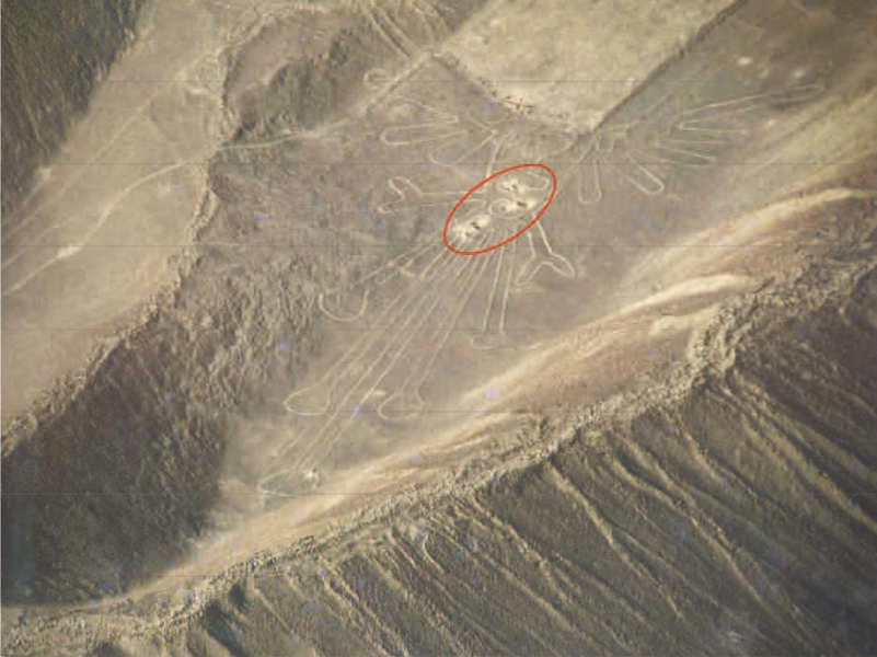 TAGACAT's tweet photo. El Ave Kosok fue la primera figura Nasca que #MariaReiche y #PaulKosok descubrieron en 1941 (Maria luego continuaría sola en Nasca).
Ubicada en Palpa es probablemente un colibrí (tapado por un trapecio). Hace 30 años fue huaqueada y gran parte destruída ⭕️↘️
1/ https://t.co/BFgZjnmYlE