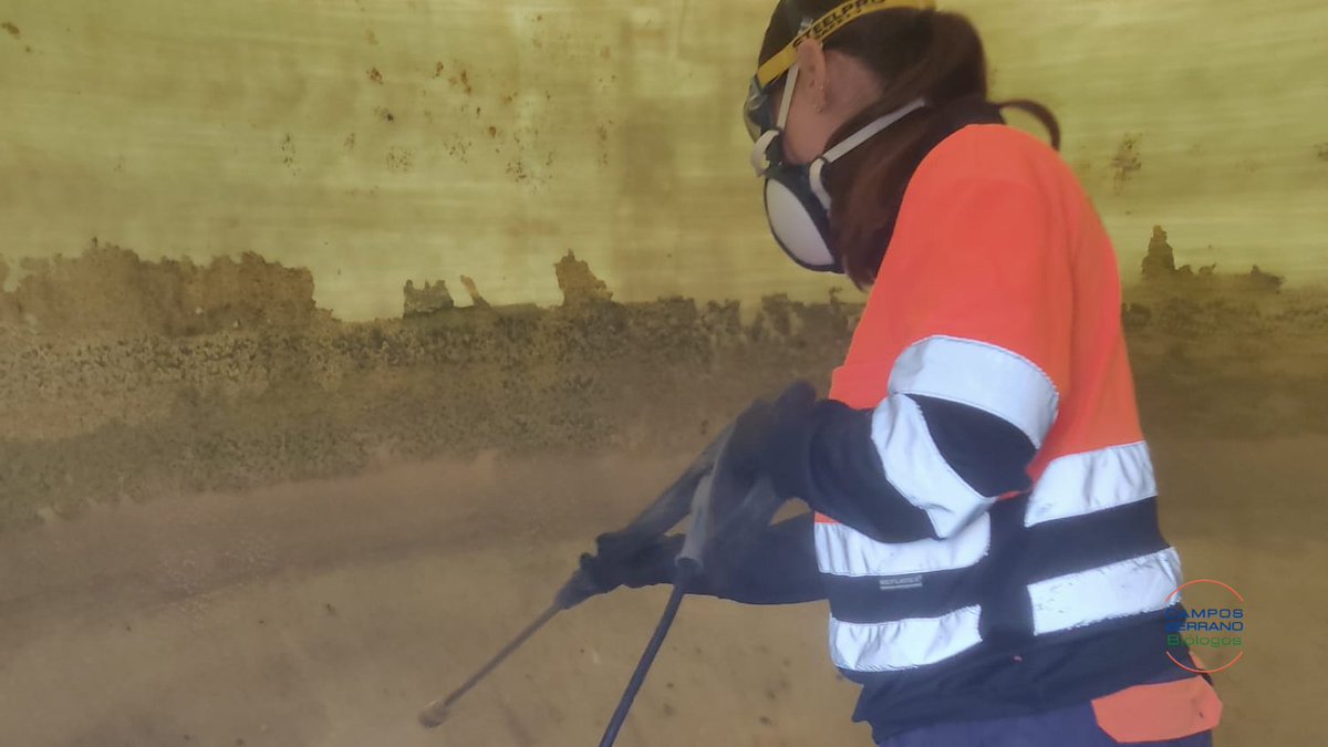 Operaciones de limpieza y desinfección de depósitos contraincendios. 

✅ Prevenimos la 𝘓𝘦𝘨𝘪𝘰𝘯𝘦𝘭𝘭𝘢 ✅

#Legionella #CamposSerrano #PrevenciónDeLaLegionella #SaludAmbiental