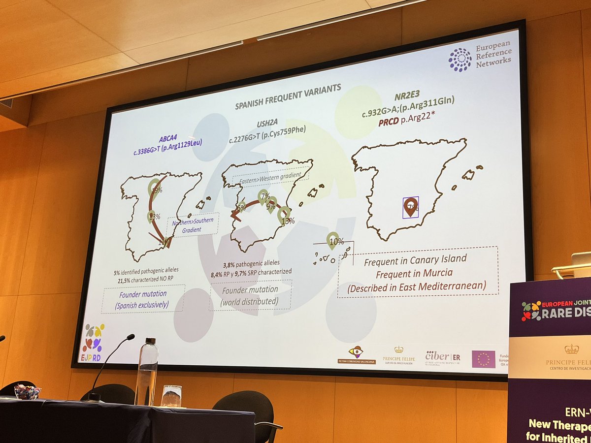 AnaPilarGomez's tweet photo. Dr. Carmen Ayuso points out relevant spanish frequent mutations related to ABCA4, USH2A and NR2E3
#ERNworkshop #retinaldystrophies
@CIPFciencia @ReginaRodrigo_ @FEDER_ONG @retiprotek @RetinaMurcia https://t.co/UReRER5rBA