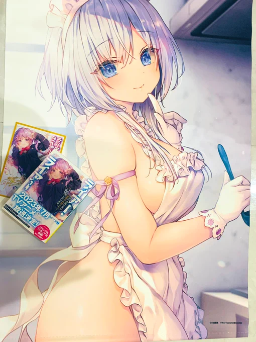 予約してた新刊13巻届いた!!!ゆっくり楽しみ飾りますアニメとフィギュアと凄い楽しみが盛りだくさんで、待ち遠しいですね #ライアー・ライアー  #ライアラ 