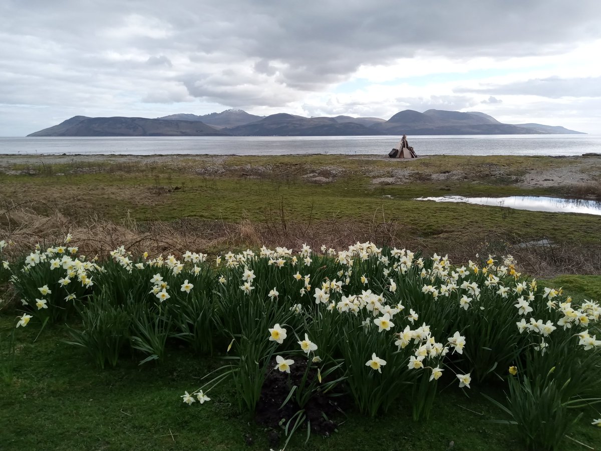 NimmoJan's tweet photo. Sunday afternoon walk at Skipness. Wild garlic pesto on the menu tonight!
#kintyre #argyll #skipness #arran https://t.co/txUkutH02u