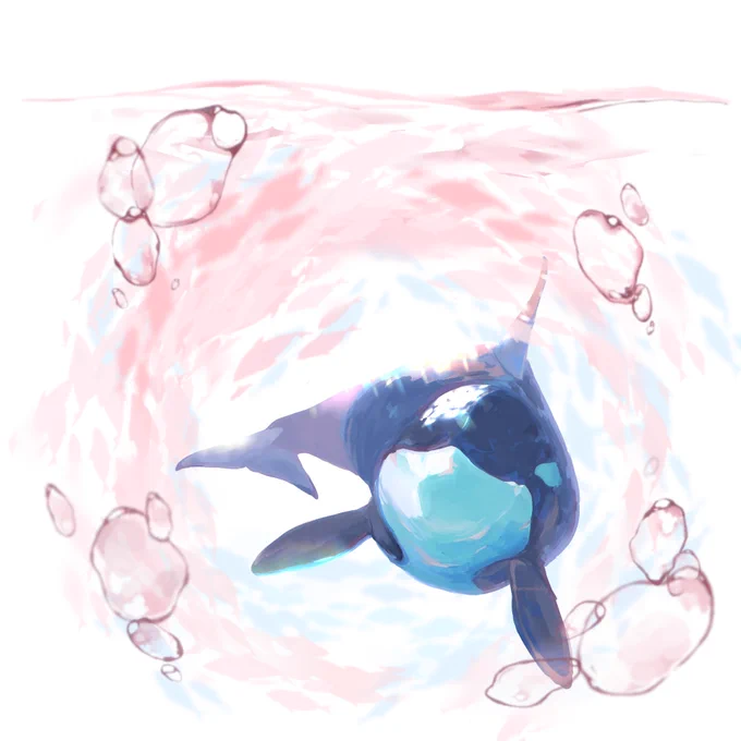 シャチもお花見行きたい 