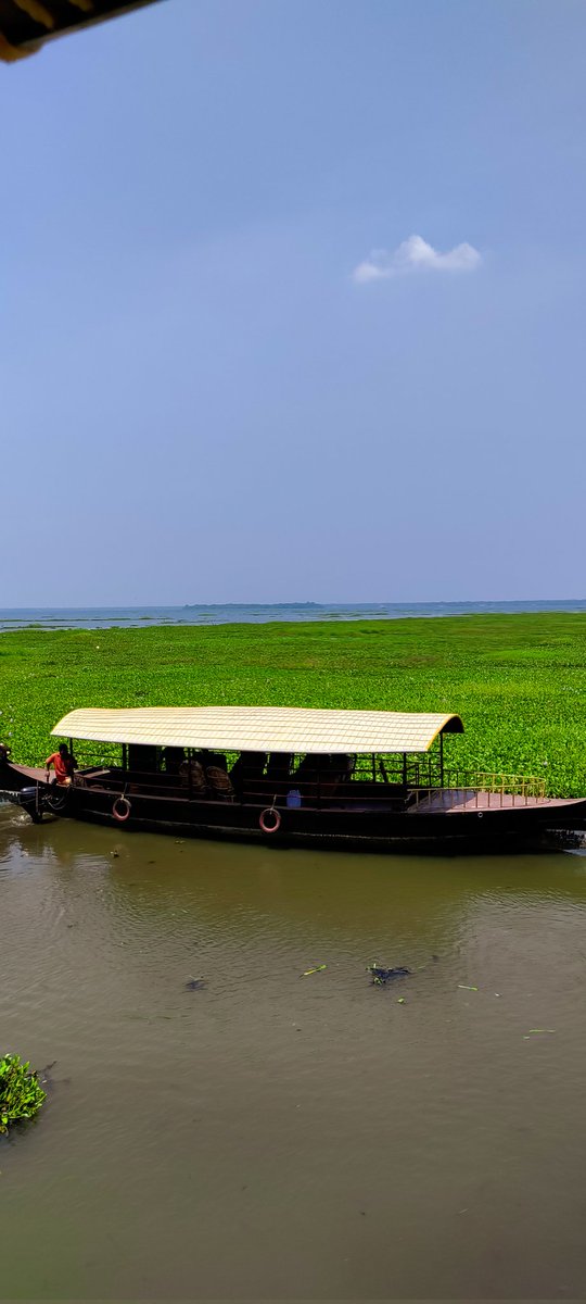 Field diaries @KeralaTourism 
💙💚🌴🪷

#marinescience #marinenvironment #marinepollution #environmentmonitoring #Vembanadlake #Kumarakom #kerala #godsowncountry #keralatourism