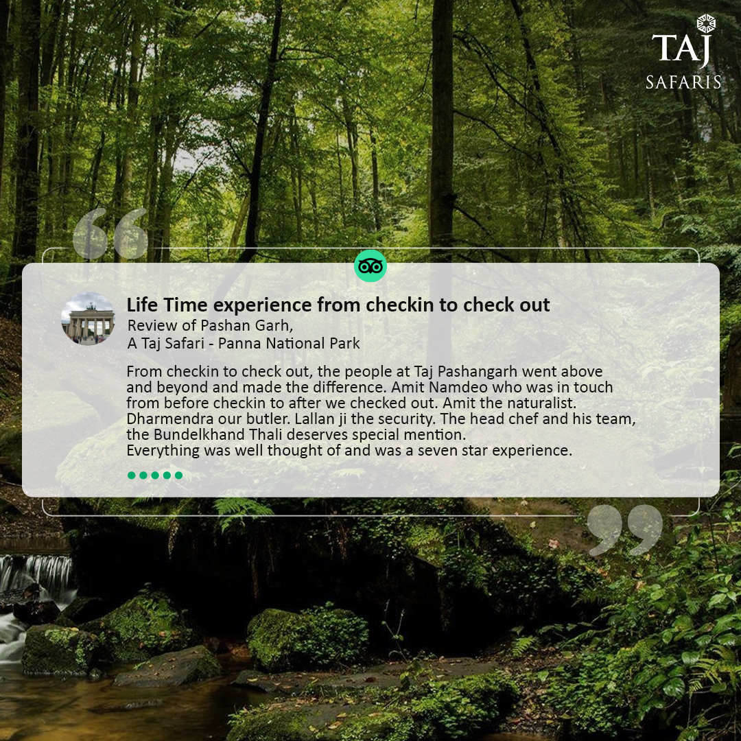 TajSafaris's tweet photo. Such kind words keep us grounded, inspired, driven, and motivated to keep delivering one-of-a-kind Safari experiences for our guests. 
We can’t wait to welcome you to Pashan Garh, A Taj Safari - Panna National Park.

#TajSafaris #WildlifeEscapes https://t.co/XwU6gGkM14
