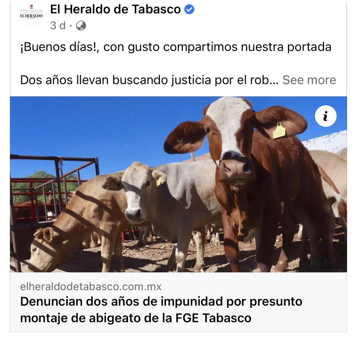 tupirix's tweet photo. @guardian @PippaCrerar @libby_brooks @severincarrell @guardianlive We do have documents, videos, pictures to support this story!

⚠️ 𝟕𝟎𝟎 𝗛𝗘𝗔𝗗𝗦 𝗼𝗳 𝗦𝗧𝗢𝗟𝗘𝗡 𝗖𝗔𝗧𝗧𝗟𝗘 𝗶𝗻 𝗼𝘂𝗿 𝗙𝗔𝗠𝗜𝗟𝗬’𝗦 𝗥𝗔𝗡𝗖𝗛.

𝗧𝗵𝗲 𝗕𝗶𝗴𝗴𝗲𝘀𝘁 𝗖𝗮𝘁𝘁𝗹𝗲 𝗛𝗲𝗶𝘀𝘁 𝗶𝗻 𝗠𝗲𝘅𝗶𝗰𝗼’𝘀 𝗛𝗶𝘀𝘁𝗼𝗿𝘆❗️ https://t.co/cetcZQXzBU