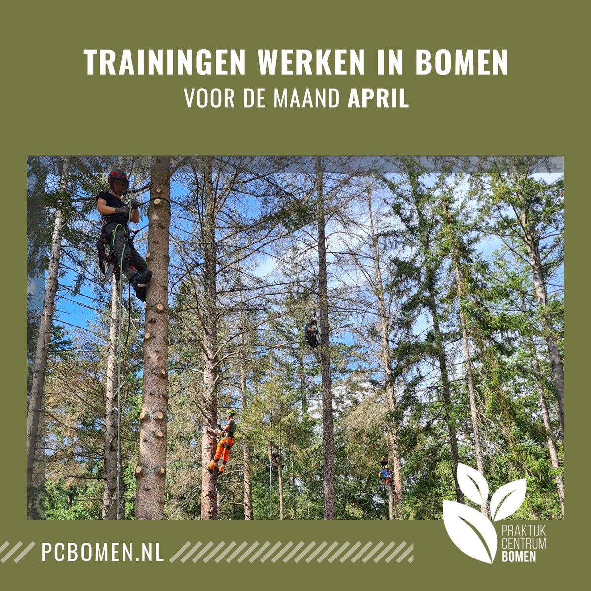 👉 Vervolgtraining Afbreken van bomen op 3 t/m 6 april
bit.ly/2q1fJT6 
👉 Vervolgtraining Machinale kroonverzorging op 18 t/m 20 april
bit.ly/33rQKdG 
👉 Vervolgtraining met SRT op 20 &amp; 21 april
bit.ly/2sAnfbL 

Schrijf je via de linkjes hierboven! ⤴️