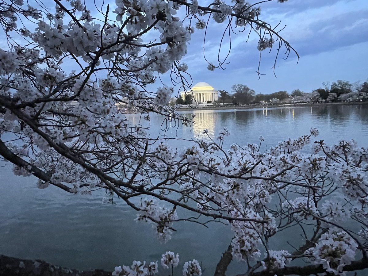 Bishop Cosplay tweet media