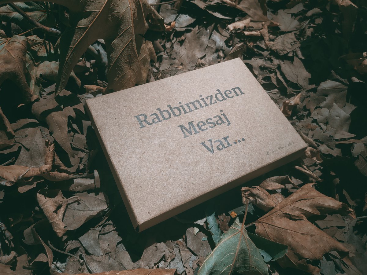 tevhidmeali's tweet photo. Rabbinizden bir bağışlanmaya ve genişliği gökler ve yer kadar olan cennete koşun. (O,) muttakiler için hazırlanmıştır. (3/Âl-i İmran, 133) https://t.co/wJYfZ2lusC
