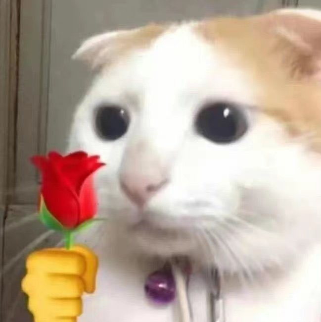gwocery's tweet photo. CAKEP BANGET SAYANGKUUUWHISGWIDWJOWJWOSJWOWJEOWJOE mawar merah untukmu cinta🌹🌹🌹🌹🌹🌹🌹🌹🌹🌹🌹 https://t.co/yHumFc0AF2