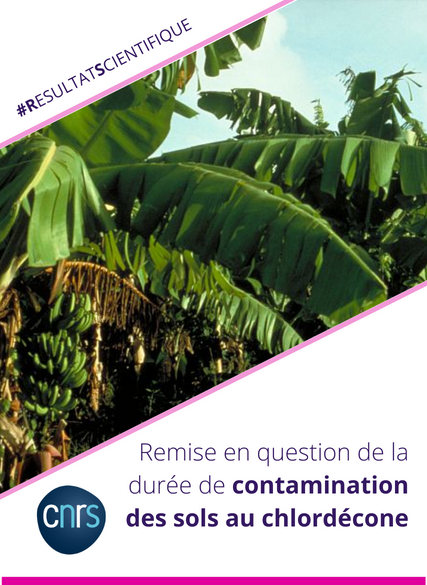 CNRS_INSU's tweet photo. #RésultatScientifique
Remise en question de la durée de contamination des sols au chlordécone :  un insecticide qui a été utilisé dans les Antilles 🌎
Pour en savoir plus ⤵️
https://t.co/YZslqyOSku https://t.co/WmBFyinbv4