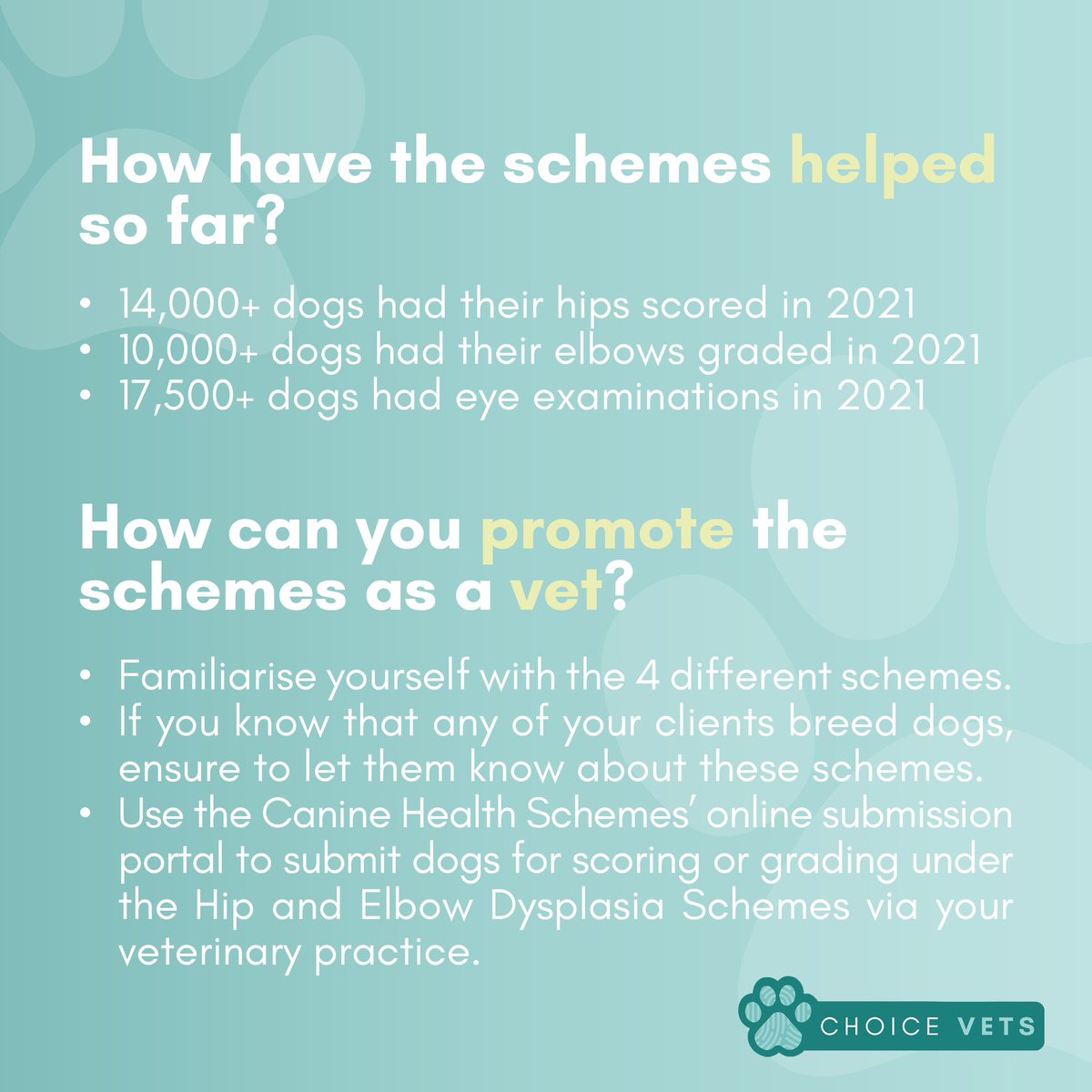 Are you passionate about improving #doghealth and welfare? 

If you haven't yet heard about #CanineHealthSchemes, we've put together a handy infographic with a summary of the schemes. Take a look! 👇

#dogwelfare #caninehealth #dogbreeding #dogbreeder #vets #veterinaryrecruitment