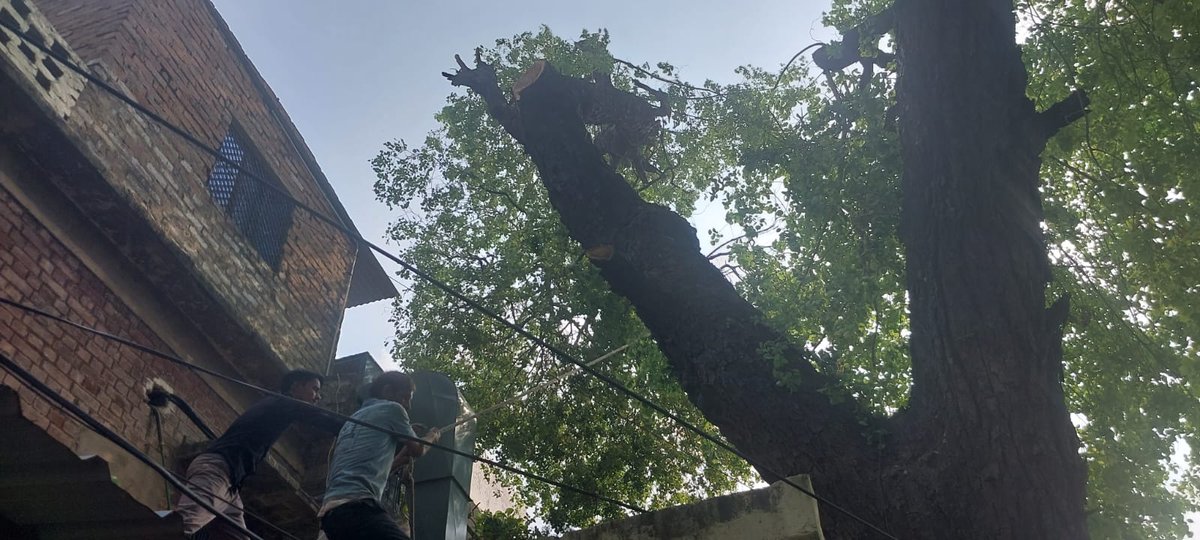YashArima's tweet photo. @myogioffice @myogiadityanath Congrats they are cutting another tree. https://t.co/GUwcBb4DHd