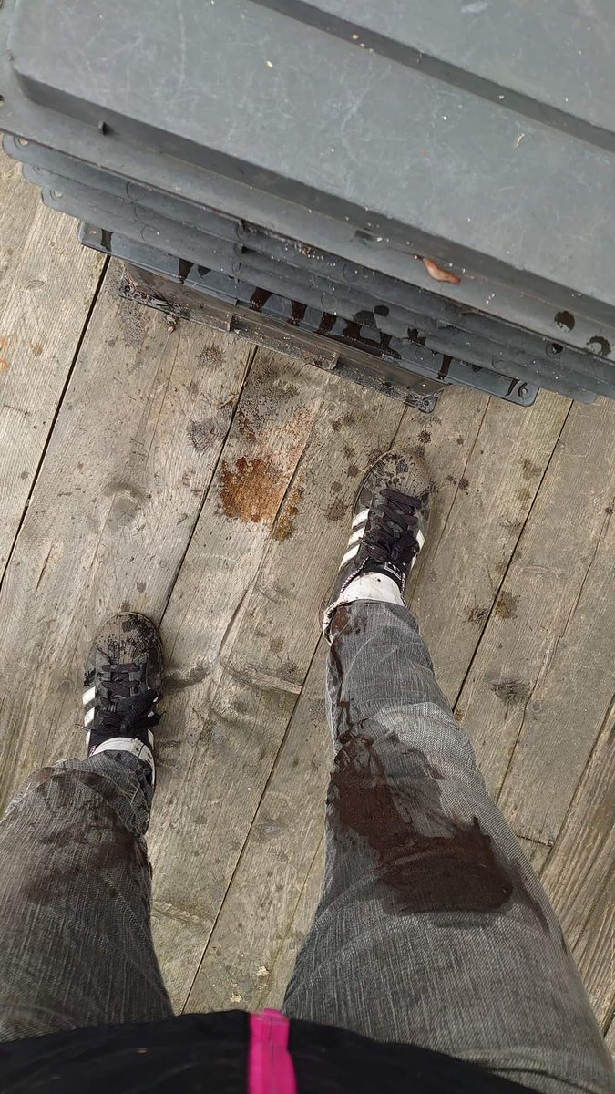 d_akkers's tweet photo. Lente! π΅ De @wormenhotel-s kunnen de kelder weer uit, via de lift en de kruiwagen weer naar hun vaste plekje op de #DakAkker. Een beetje #watershit gelekt onderweg. Dus blijf maar even uit de buurt van de dakboeren. π€’π πͺ±πͺ±πͺ± π· @LydiaVanDeursen. https://t.co/egX2UzBi4n