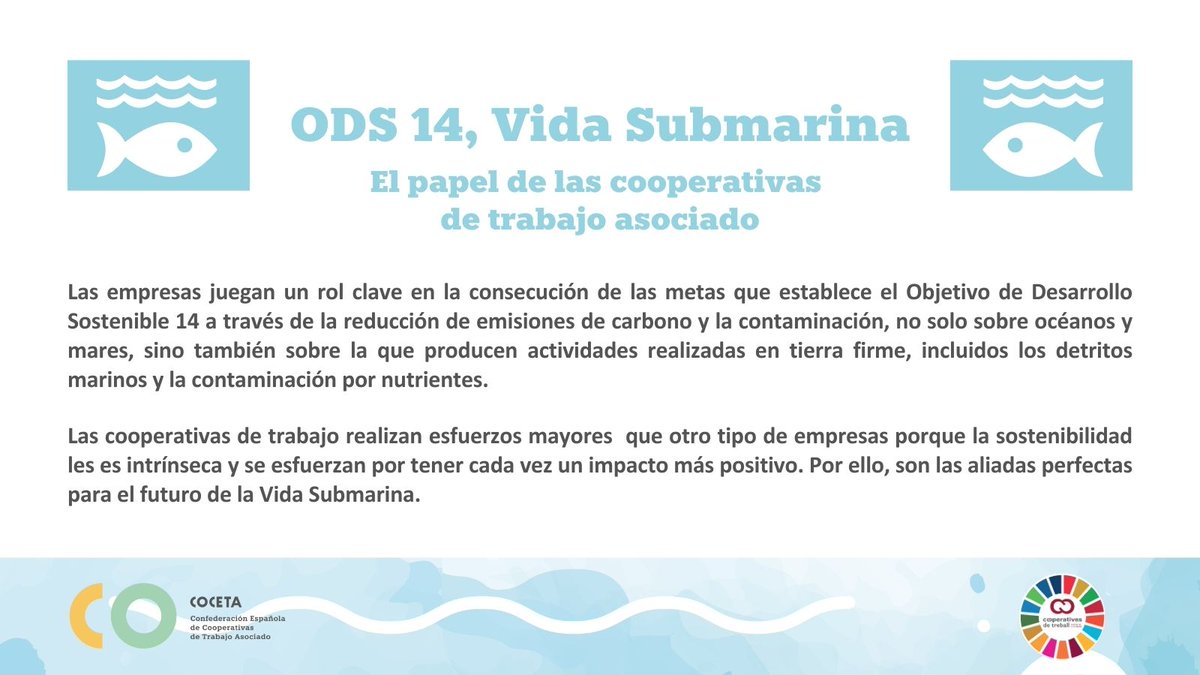 Coopsdetrabajo's tweet photo. Esta semana viajamos a Menorca, #ReservaBiosfera, para celebrar un evento, junto a nuestra socia @uctaib:
🌊 "Cooperativas por la Sostenibilidad" 💚
Os lo contamos aquí ⬇⬇⬇
https://t.co/kqB0DLD3fj
#SomosCooperativas #EventoSostenible #MenorcaCoop #ODSCoop https://t.co/1jSXyNYjPe