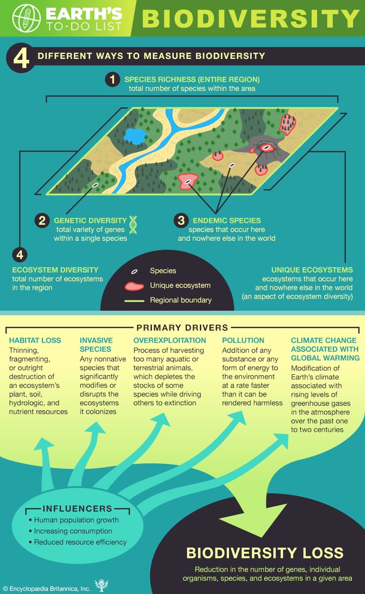 UNBiodiversity's tweet photo. Biodiversity loss is the "reduction in the number of genes, individual organisms, species, and ecosystems in a given area."

Learn about 4️⃣ different ways to measure biodiversity and the primary drivers of biodiversity loss in this encyclopaedia Britannica infographic. https://t.co/EG893DUnZ1