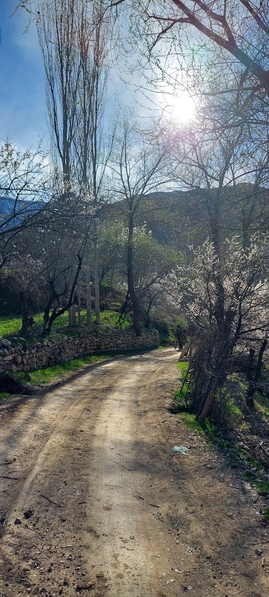 Spring. Vashan, Tajikistan🇹🇯