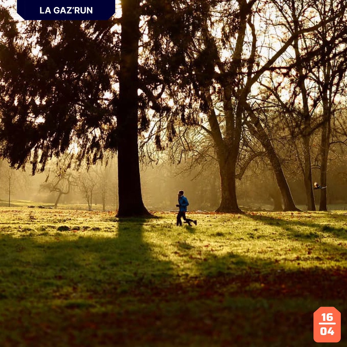 Finishers tweet media