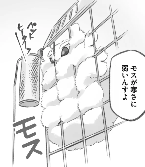 今回のモス日、ストーブ大好きなモスVS絶対突撃させないお兄さん 