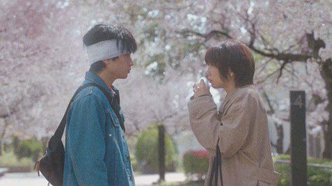 #さくらの日に観たい春映画3/27はさくらの日“出会いも別れもいつもあなたのことを想って”桜のような僕の恋人(2022)