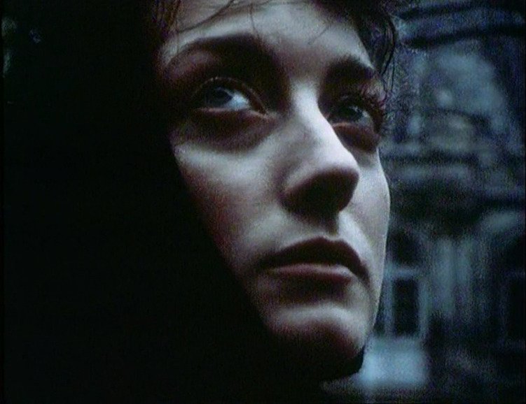 maplecat_eve on Twitter