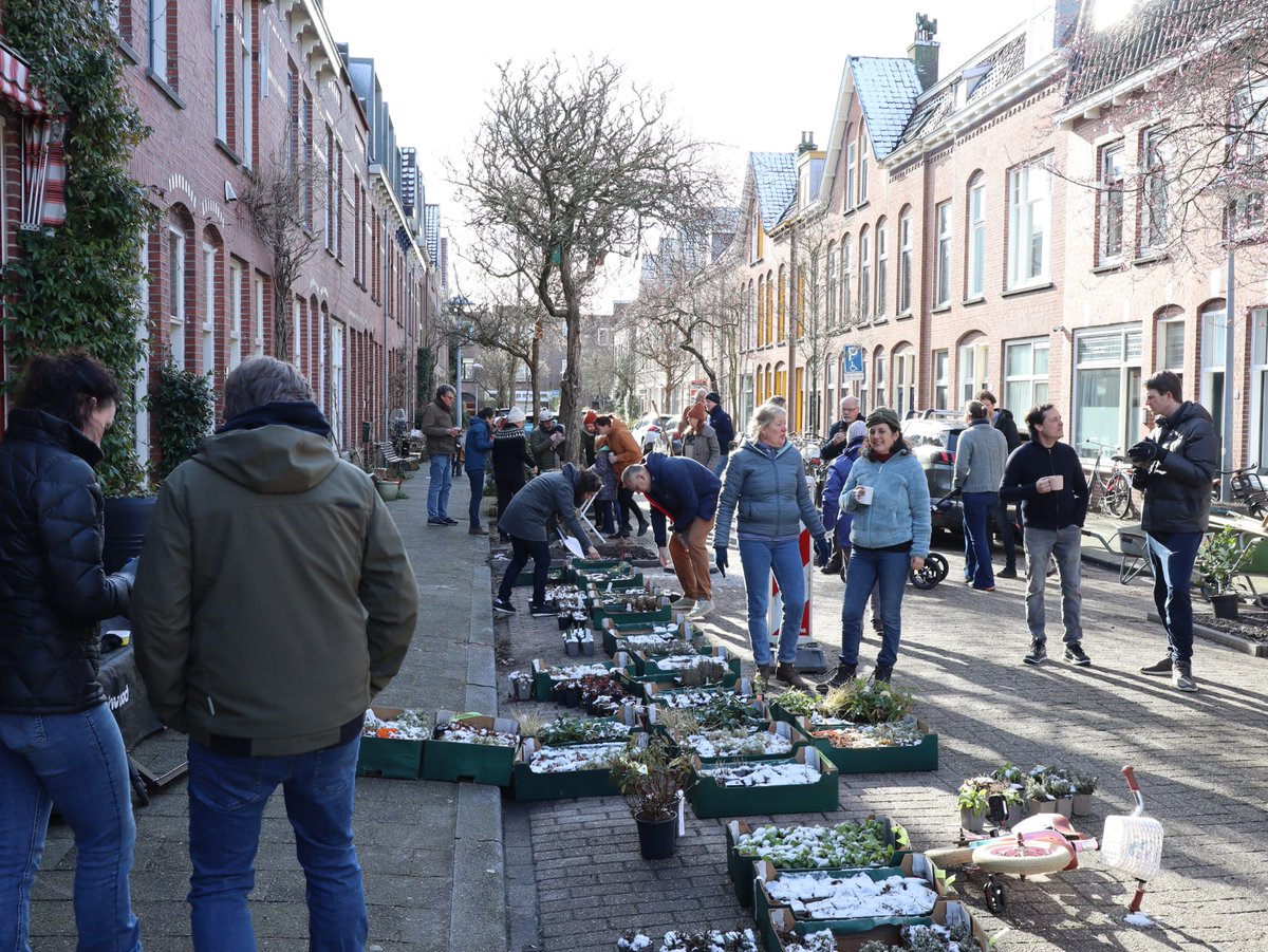 WBZuidwest's tweet photo. De Coornhertstraat in Dichterswijk is een stuk groener! 🌻 Bijna alle boomspiegels in de straat zijn vergroot. De groengroep organiseerde een gezellige dag waarop heel veel bewoners meehielpen planten én geveltuinen maken. Ook een groen initiatief starten? Wij helpen je graag!🌼 https://t.co/Dttgtr1sDR
