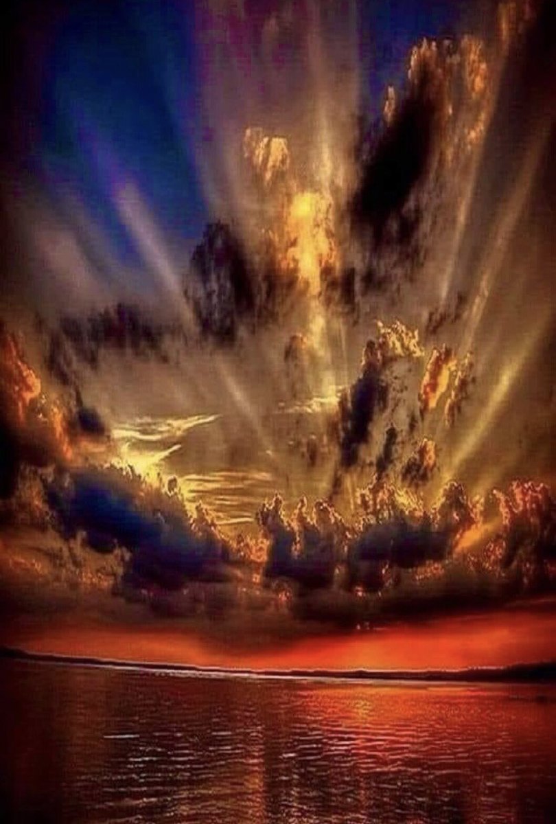 Lakota Man tweet media