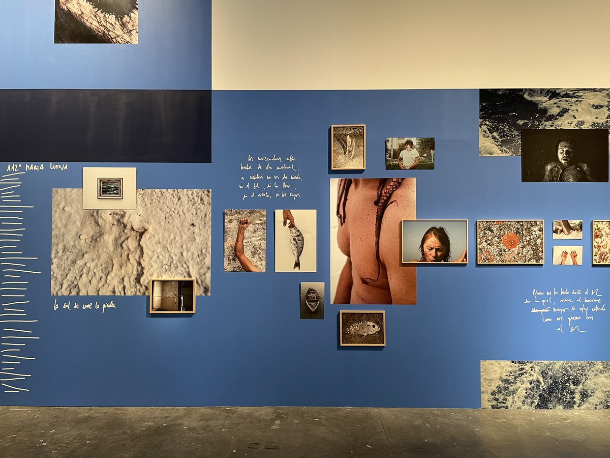 carine_rolland's tweet photo. Courez-y, le festival #Circulation(s) investit le @104paris et met la Bulgarie à l’honneur ! Bravo aux 8 femmes du @CollectifFetart commissaires de cette grande rencontre de la jeune photographie européenne et aux artistes, qui ont présenté samedi leur travail au public nombreux! https://t.co/eyoR3I2K6P