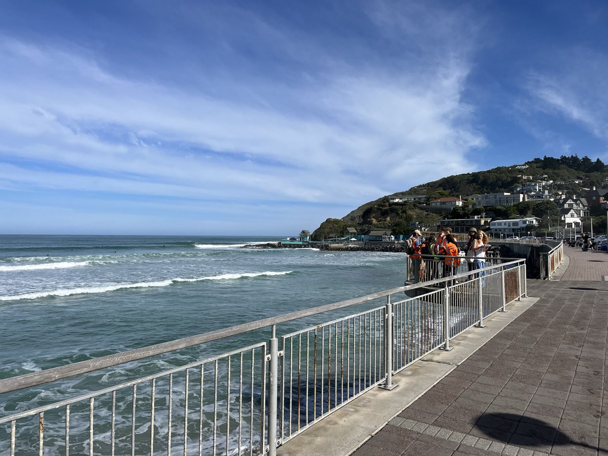 GeographyOtago's tweet image. GEOG101 field trips are all go.  Here’s the recent “Coastal” trip. Great day to be out examining Otago’s #coastal dynamics! ☀️☀️

📷 Campbell McCusker. #geographyotago #onlyotago #choosegeography #fieldtrip