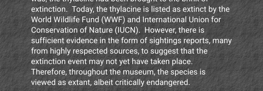 ldbailey255's tweet photo. @Nrg8000 One of the two 'experts' that rated the sightings lists the thylacine as "extant" on his website. Doesn't leave much faith in the quality of the ratings. Total peer review failure. https://t.co/tn7XfpsLZA