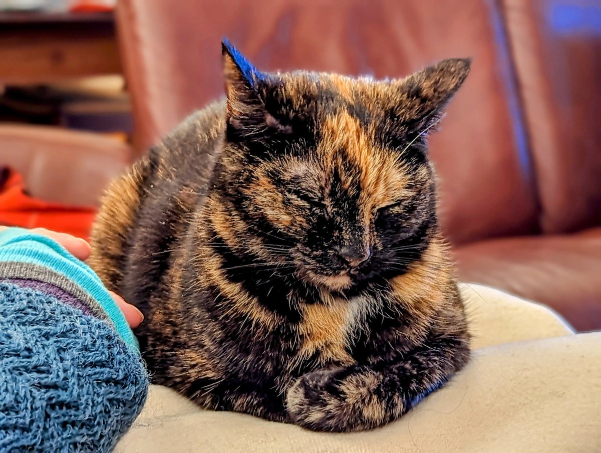 Rob Goodrich tweet media