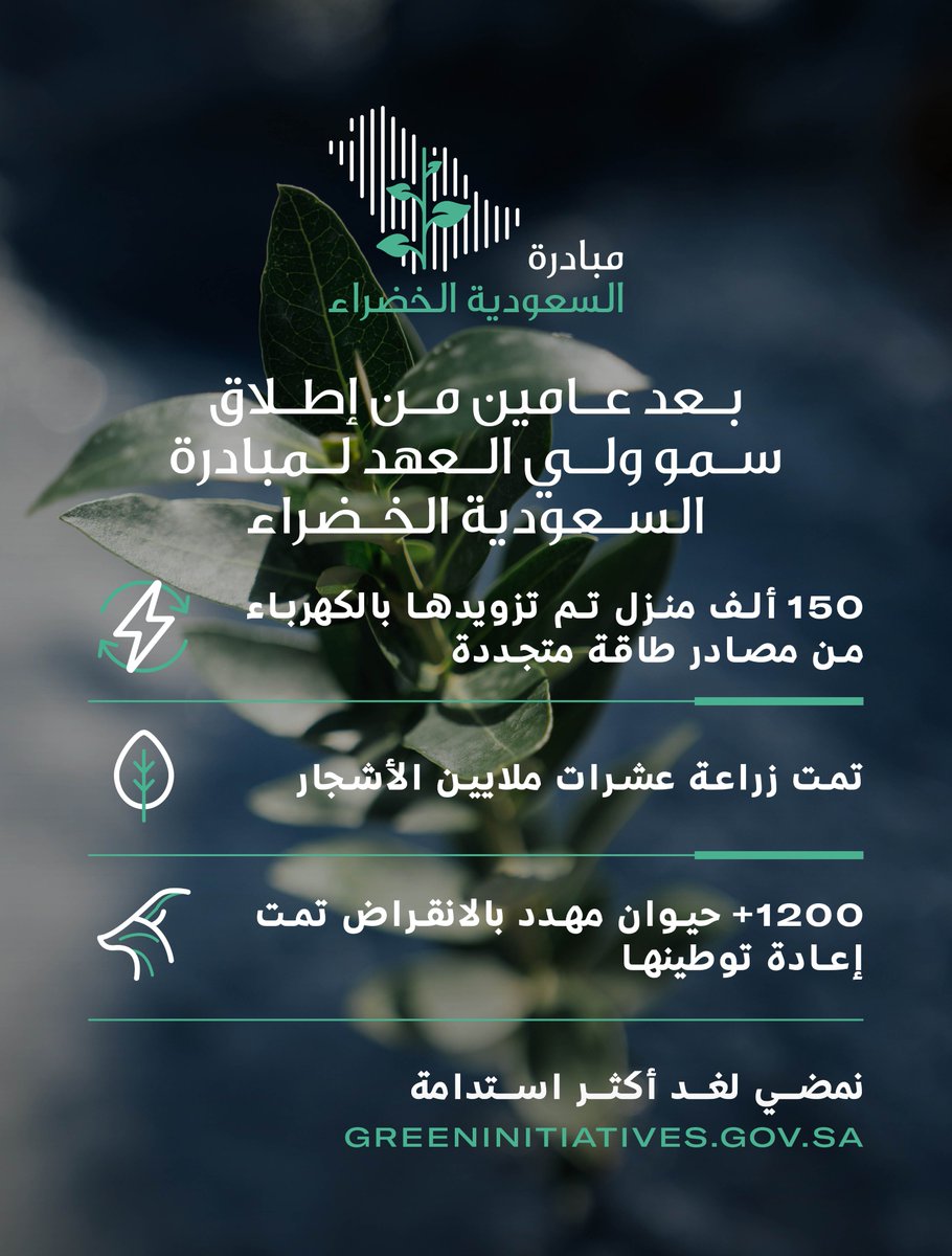 Gi_Saudi's tweet image. في الذكرى السنوية الثانية لإعلان صاحب السمو الملكي ولي العهد –حفظه الله- عن مبادرة السعودية الخضراء، نحتفل بمساهمات مجتمعنا بأكمله في دعم جهود العمل المناخي في المملكة.

نمضي لغد أكثر استدامة

لمعرفة المزيد: greeninitiatives.gov.sa/ar-sa/

#سنتين_من_السعودية_الخضراء