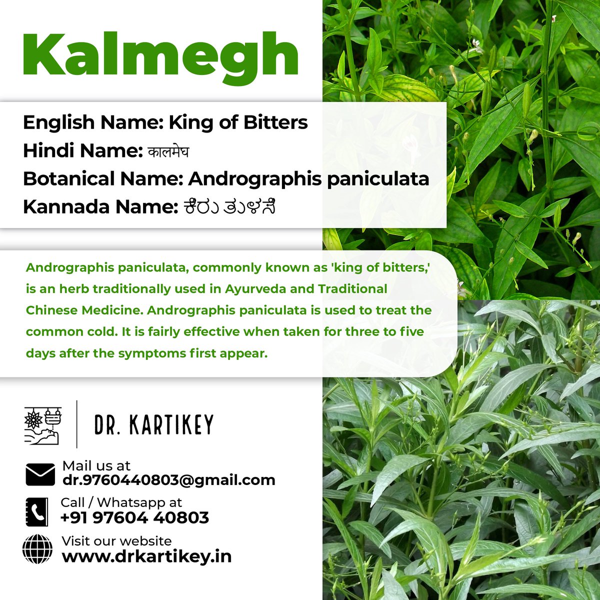 drkartikey's tweet photo. Kalmegh
#drkartikeytyagi #Kalmegh #benefits #haridwar #dehradun #food #everydaynutrition #bloating #antiinflammatorydiet #plantfoods #ayurvedalifestyle #ayurveda #healthylifestyl #drkartikeytyagi #bupleurum #benefits #haridwar #dehradun #food #everydaynutrition #bloating https://t.co/xWdB847Csn