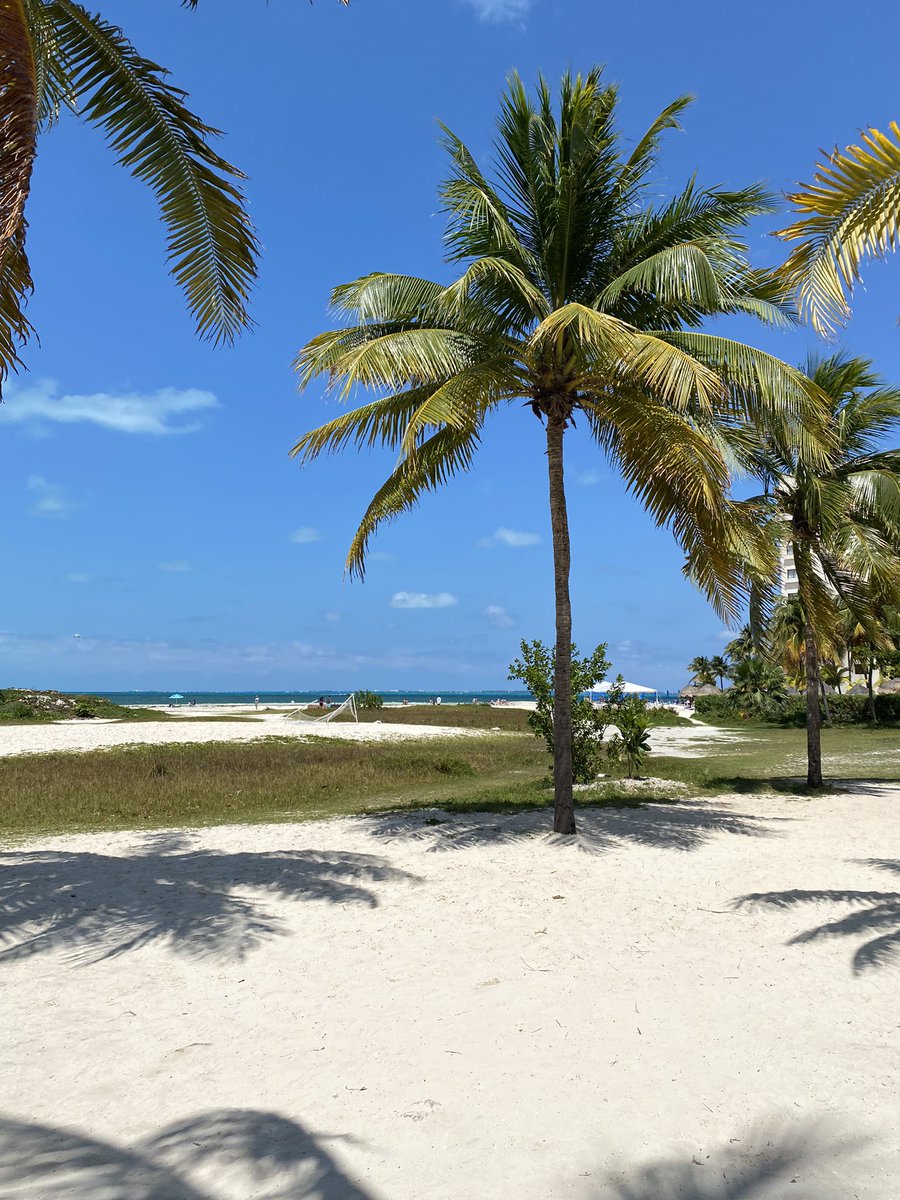 alearismendis19's tweet photo. Spoiler: siempre hay una playa esperándote en Cancún 🌴💙
#playa #Cancun #naturaleza #paz #bikini #meamo https://t.co/zAxxC7XGqa