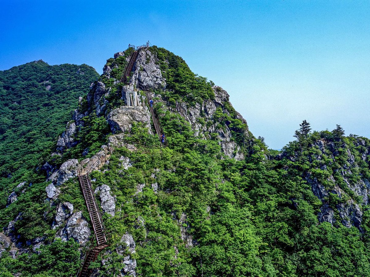 nulpuleunsonamu's tweet image. #Repost @mofa_koreaz 
——
Welcome to Hamyang! 🙌

#KOREAZ #MOFA #Korea 
#Hamyang #nature 
#Gyeongsangnamdo 
#코리아즈 #외교부 #함양 #경상남도
instagram.com/p/CqRiB9yyQY1/…