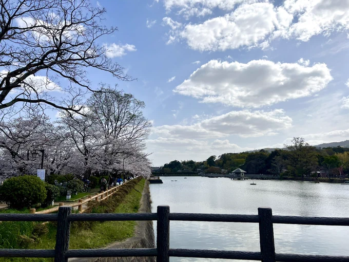 長岡天満宮までお散歩娘はずっと寝てました 