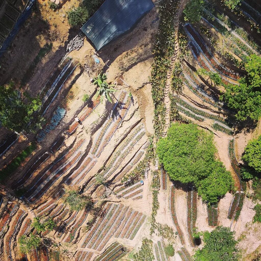 BseMoody's tweet photo. Dalat fields from above.

#🇻🇳 #vietnam #traveling https://t.co/R8WAi90LLa https://t.co/cPxmat1bn2