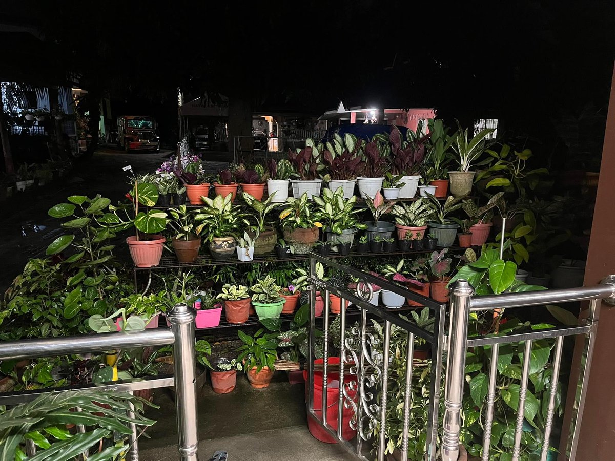 AksyonAbante's tweet image. KWELANG MOMENT ang ibinahagi ni FB user Ryan sa latest viral photos niya online tampok ang nakakatawang mensahe ng kanyang Tita Marissa.

&quot;Tita pabukas naman po ng pinto, napaka daming paso hindi ko makita,&quot; caption niya sa post.

📸Ryan Rico

#iAbanteMo #ViralPH #GoodVibesPH