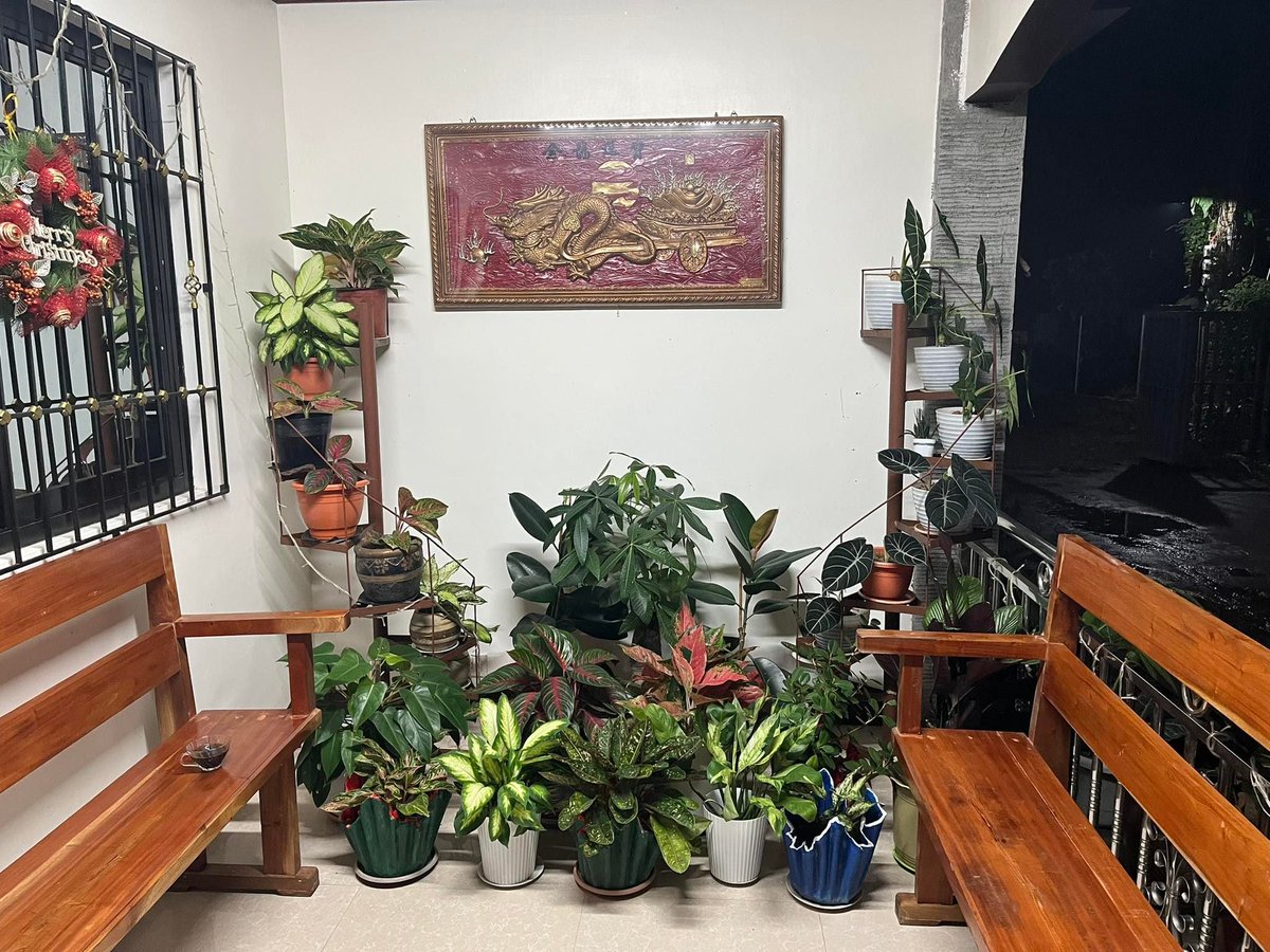 AksyonAbante's tweet image. KWELANG MOMENT ang ibinahagi ni FB user Ryan sa latest viral photos niya online tampok ang nakakatawang mensahe ng kanyang Tita Marissa.

&quot;Tita pabukas naman po ng pinto, napaka daming paso hindi ko makita,&quot; caption niya sa post.

📸Ryan Rico

#iAbanteMo #ViralPH #GoodVibesPH