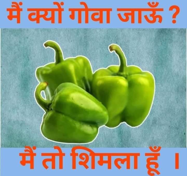 Hey_Mogambo1's tweet photo. ये भी ठीक है https://t.co/FYXAZMTKU3