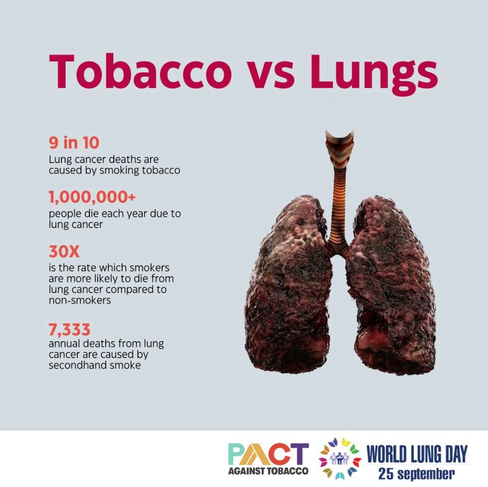 vickymarco15's tweet photo. Stay healthy because you matter. Change the narrative because treatment is always more expensive than prevention.

#PACT
#ChangethePicture
#StopGlamorizingTobaccoUse #DontStartTobacco
#PACTLagosHub https://t.co/43K3IN30hg