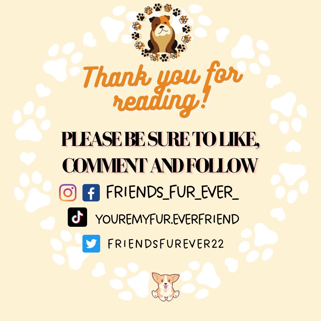 Friendsfurver22's tweet photo. 🐶Dangerous Foods for your Dogg🐶 #dangerousfoods #hazards #fureverfriend #dogsoftwitter #trending #smallaccounts information referenced from https://t.co/7N8WFEvsts https://t.co/uOZHDAXuzW