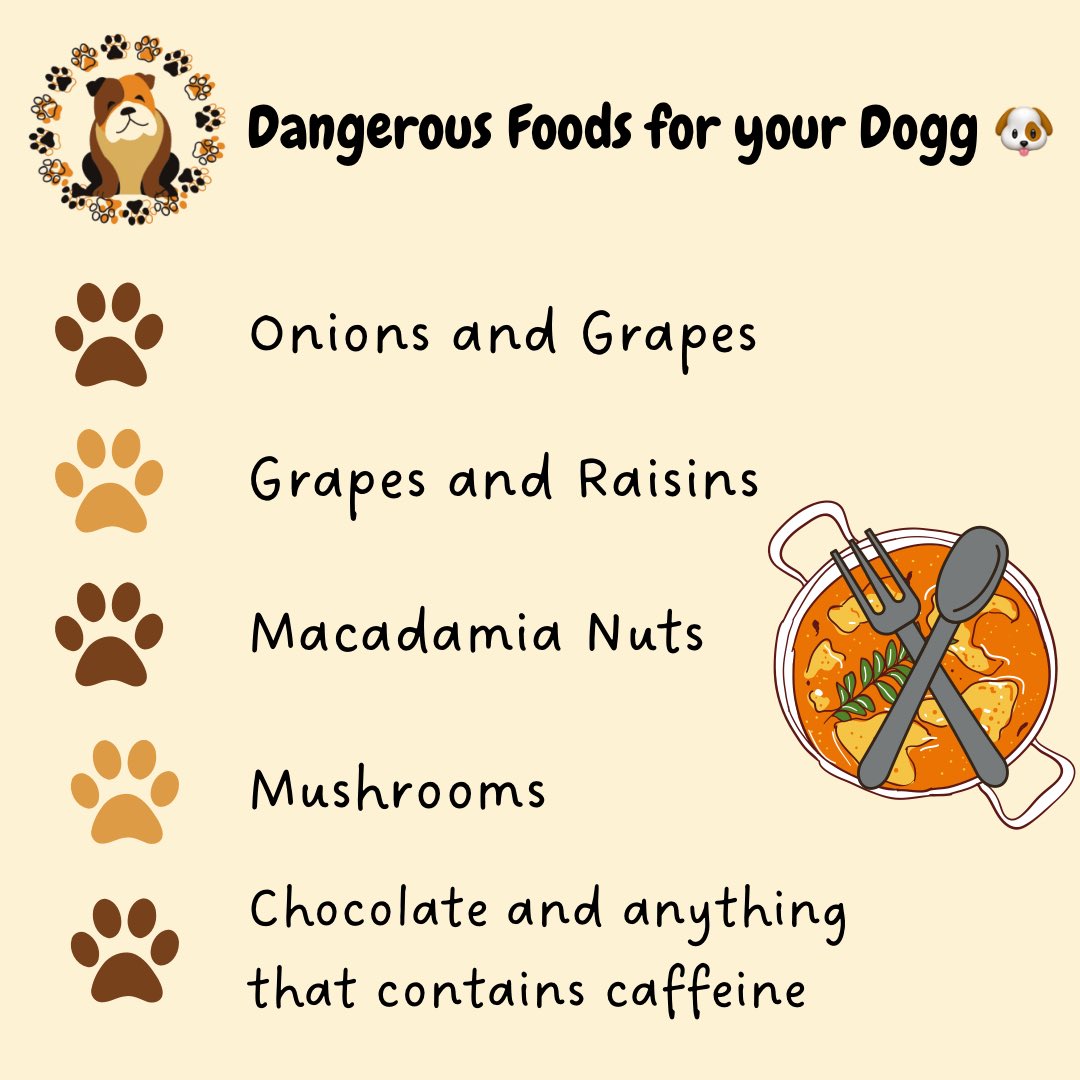 Friendsfurver22's tweet photo. 🐶Dangerous Foods for your Dogg🐶 #dangerousfoods #hazards #fureverfriend #dogsoftwitter #trending #smallaccounts information referenced from https://t.co/7N8WFEvsts https://t.co/uOZHDAXuzW