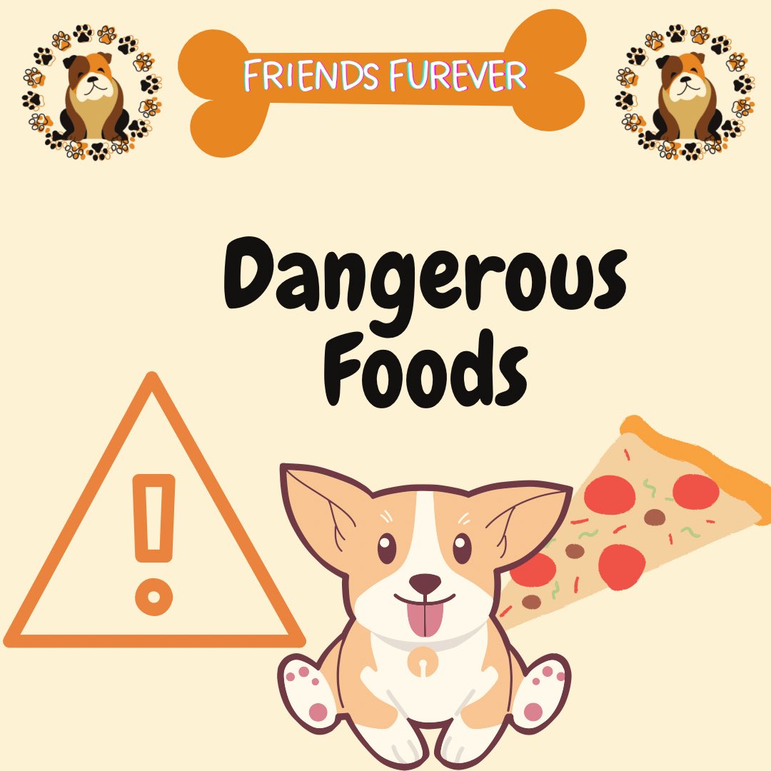 Friendsfurver22's tweet photo. 🐶Dangerous Foods for your Dogg🐶 #dangerousfoods #hazards #fureverfriend #dogsoftwitter #trending #smallaccounts information referenced from https://t.co/7N8WFEvsts https://t.co/uOZHDAXuzW
