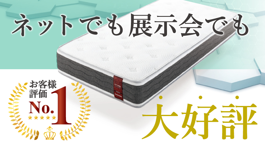 【ジモティー割引で最大15％OFF⭐️】フランスベッド E-MAX SPRING フレーム付き フランスベッド E-MAXスプリング マットレス 限定生産モデル 特価