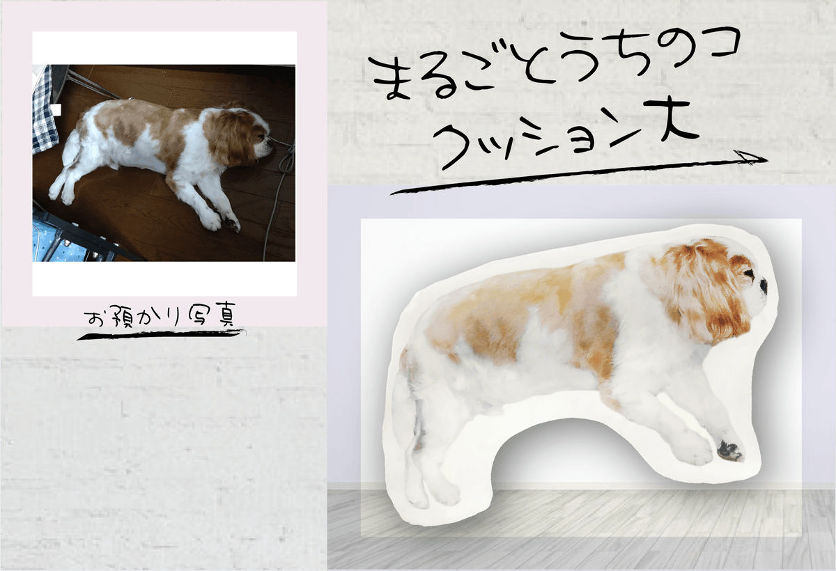 colcolle_jp's tweet photo. 【制作事例】
Y様より「まるごとうちのコクッション大」「まるごとうちのコクッション小」をご注文いただきました。

ご注文ありがとうございました！

#colcolle #カラコレ #オリジナルグッズ #グッズ #制作事例 #クッション #ダイカットクッション #オリジナルクッション https://t.co/GQF8M4rCnT
