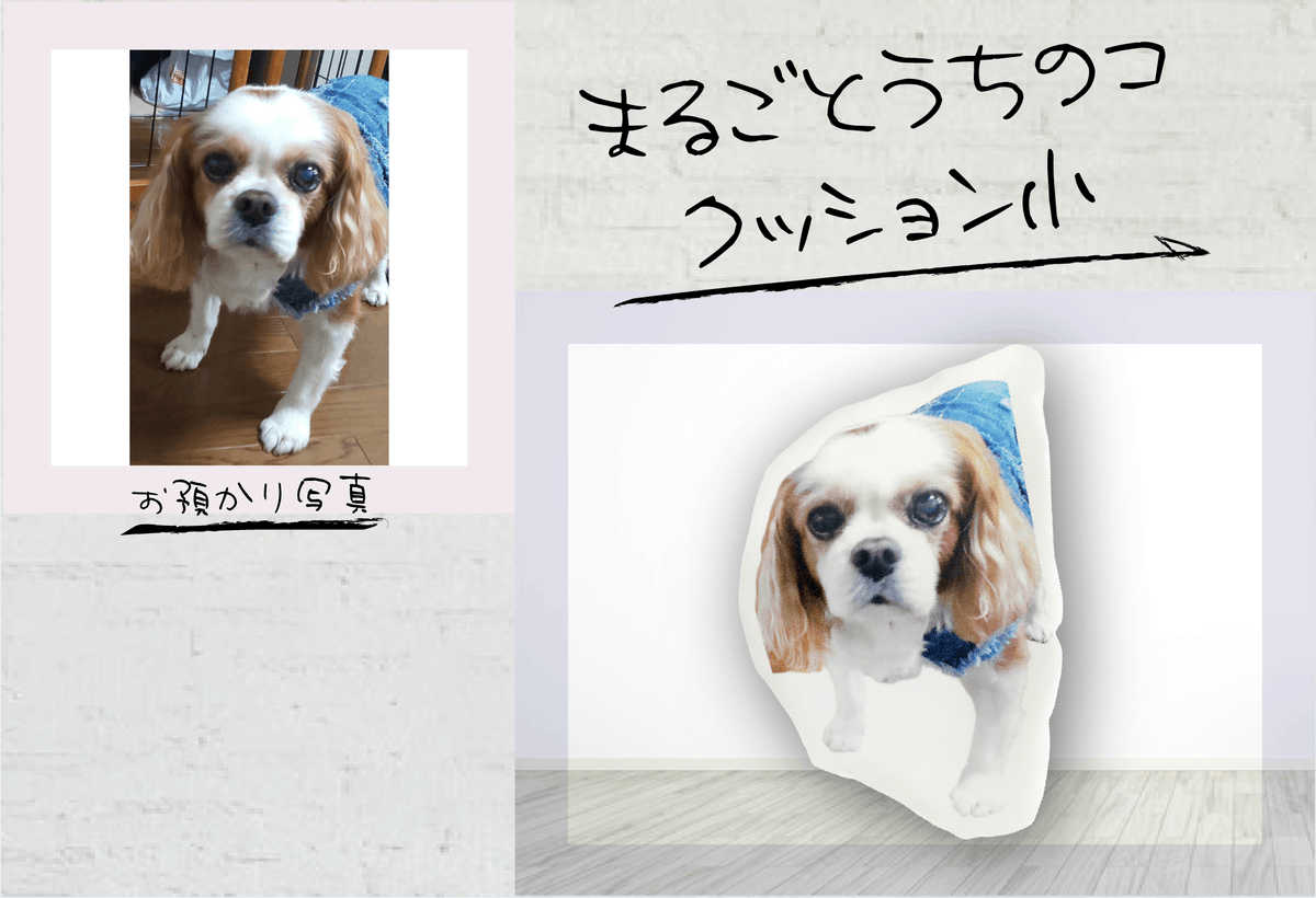 colcolle_jp's tweet photo. 【制作事例】
Y様より「まるごとうちのコクッション大」「まるごとうちのコクッション小」をご注文いただきました。

ご注文ありがとうございました！

#colcolle #カラコレ #オリジナルグッズ #グッズ #制作事例 #クッション #ダイカットクッション #オリジナルクッション https://t.co/GQF8M4rCnT