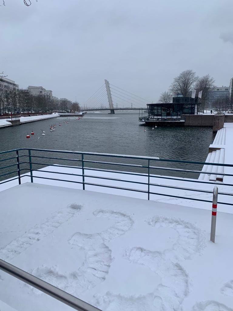 Talvi tuli takaisin. #ilmasto #helsinki #ruoholahti #jätkäsaari #ilmastonmuutos #suomi #finland