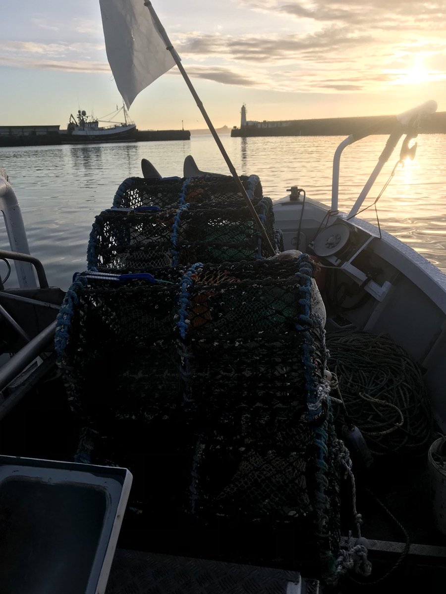 ⁦<a href="/Passion4fish/">The Fish Shop</a>⁩ Morning all, here we go again. #newAnkle #NewSeason 🦞🦞🦀